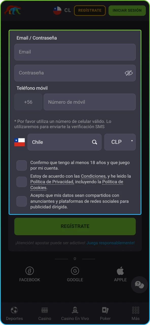 Campos del formulario donde se completan el nombre, RUT chileno y correo electrónico.